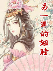 另一半的翅膀