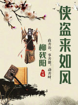 侠盗来如风